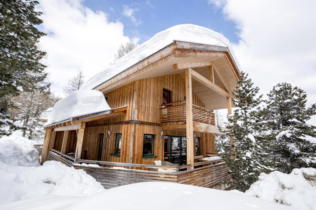 Alpenpark Turrach By Alps Resorts Туррахер-Хёэ Экстерьер фото