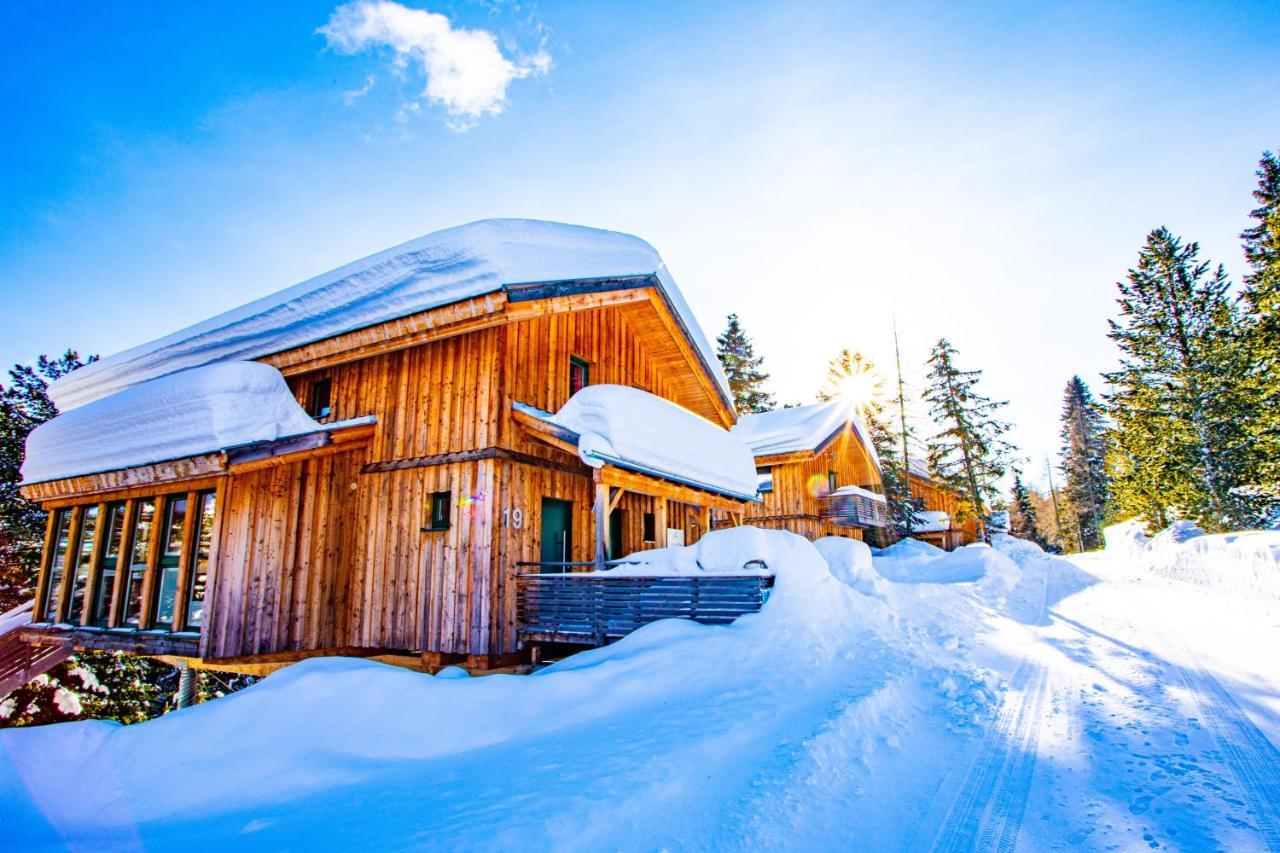 Alpenpark Turrach By Alps Resorts Туррахер-Хёэ Экстерьер фото