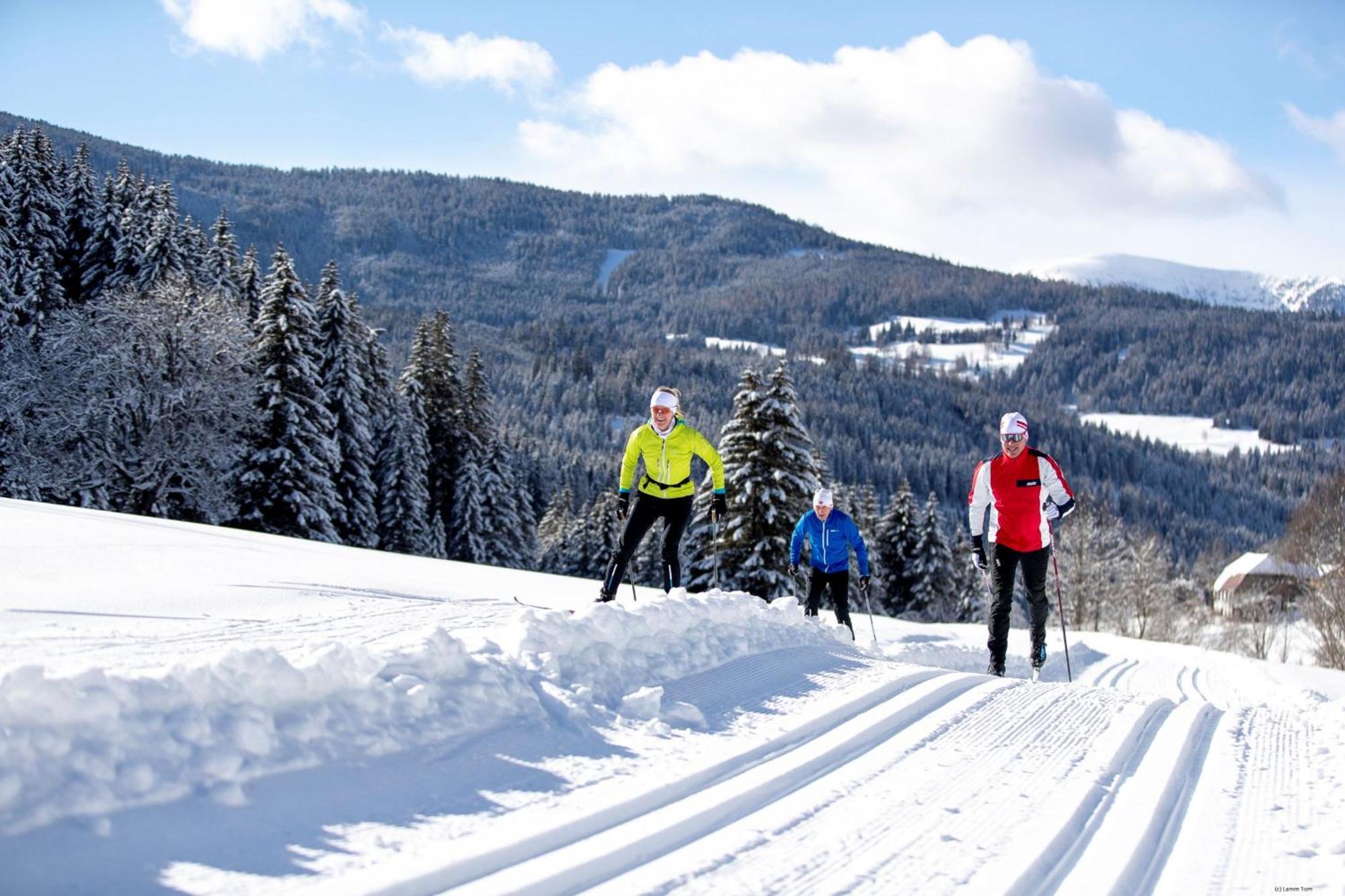 Alpenpark Turrach By Alps Resorts Туррахер-Хёэ Экстерьер фото